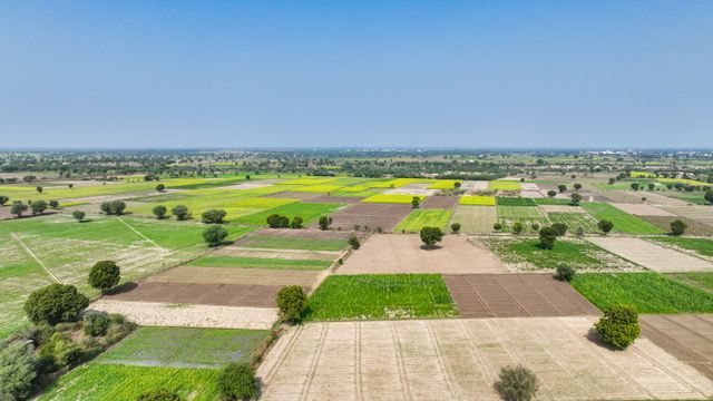 Residential or investment plot